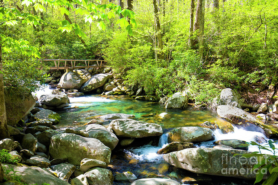 A Beautiful Stream in Great Smoky Mountains National Park Photograph by Felix Lai