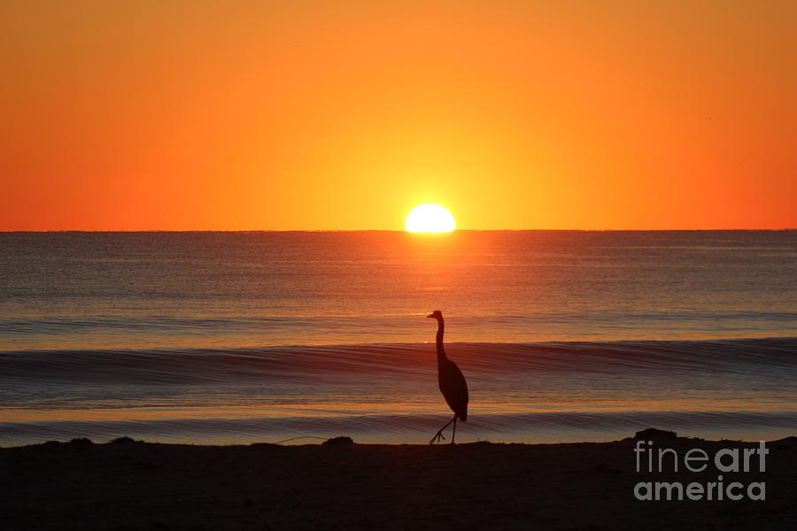 Beach Photograph - A Beautiful Sunrise by Mesa Teresita