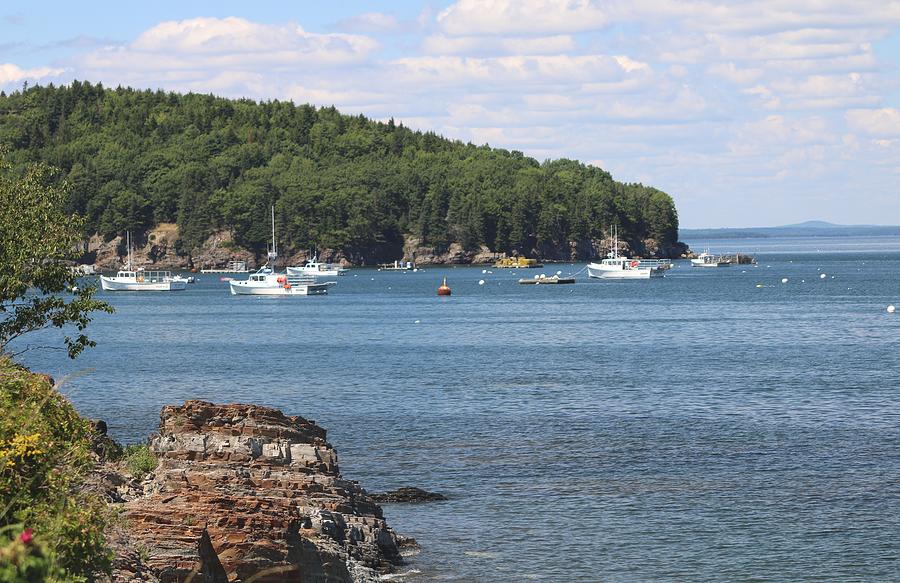 A Beautiful View Of Bar Harbor Photograph by Living Color Photography Lorraine Lynch