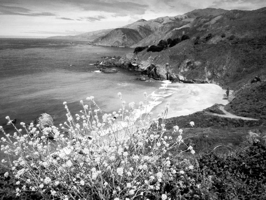 Mountain Photograph - A Beauytiful Day On The CA Coast 1 In B and W by Joyce Dickens