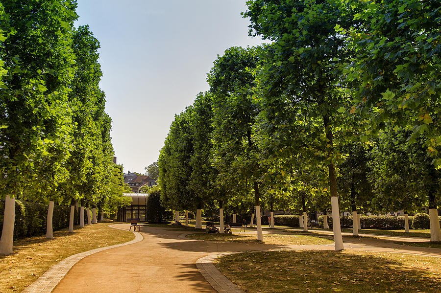 A Belgian City Park Photograph by Georgia Clare