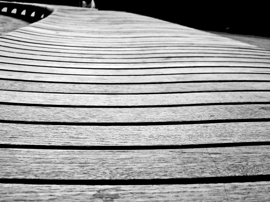 A Bench In Black and White Photograph by Carol Senske