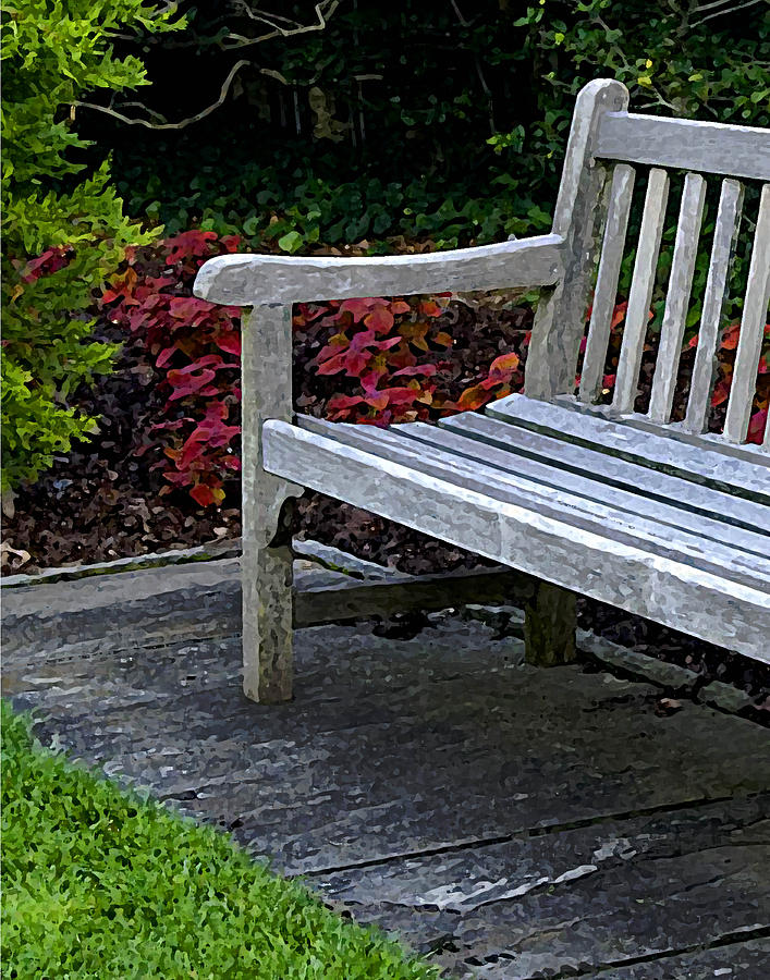 A Bench In The Garden Photograph by Robert Suggs