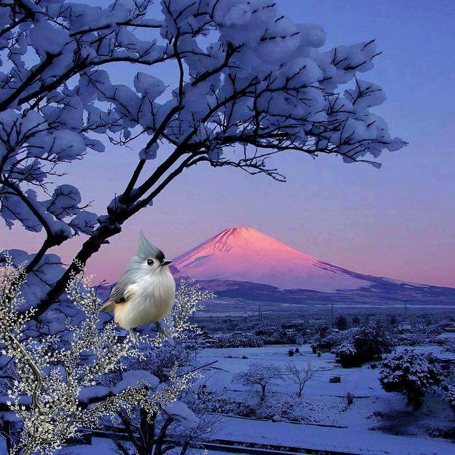  Tufted Titmouse  in winter scene Digital Art by John Junek