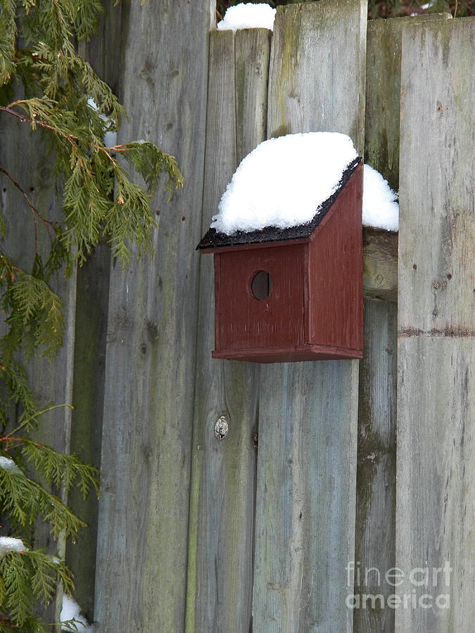 A Birdhouse to Live In Photograph by Corinne Elizabeth Cowherd