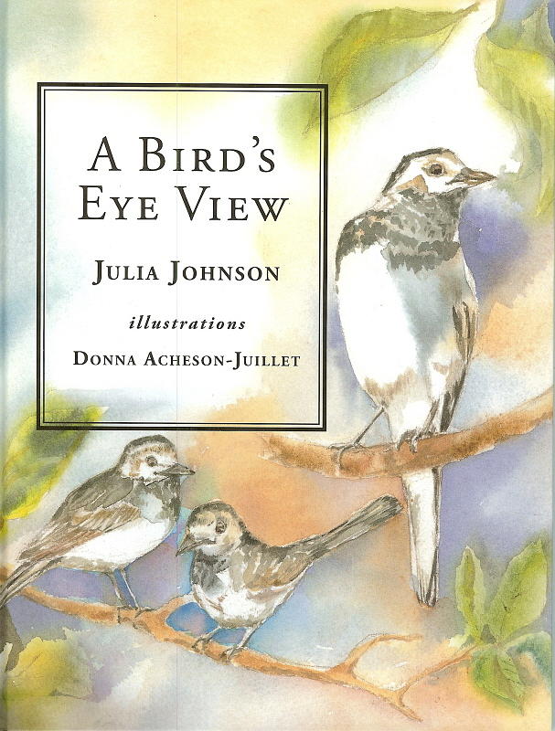A Birds Eye View Jerboa Books Painting by Donna Acheson-Juillet