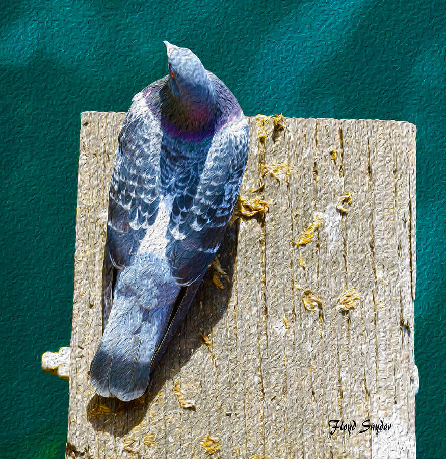 A Birds Eye View Of A Birds Eye View Oil Painting by Floyd Snyder