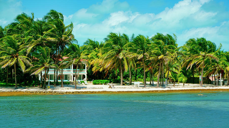 A bit of paradise on Ambergris Caye, Belize Photograph by Waterdancer