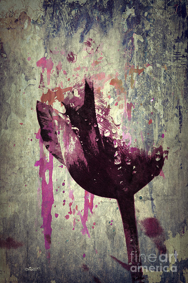 A Bit of Tulip Digital Art by Jutta Maria Pusl