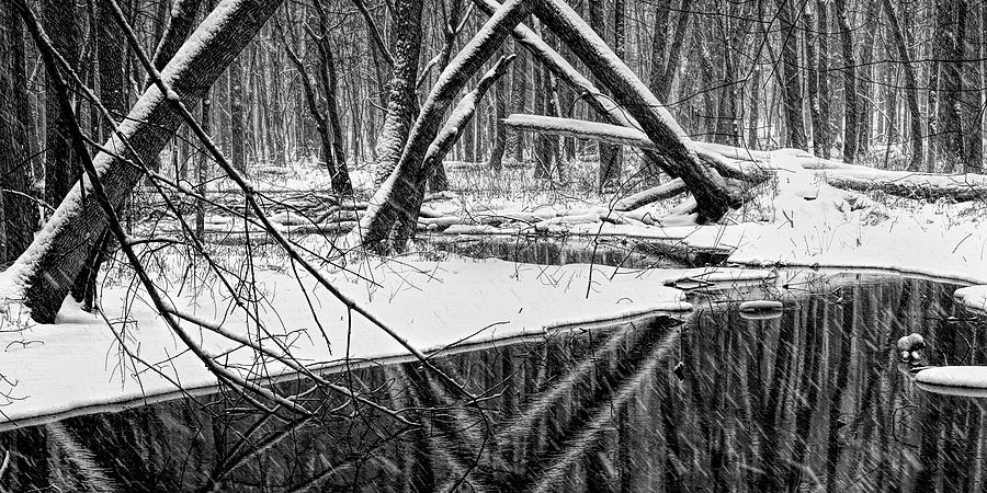 A black and white panoramic photo of a stream in a winter snow storm in West Michigan Photograph by Randall Nyhof