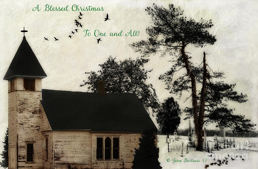A Blessed Christmas... Photograph by Joan Bertucci