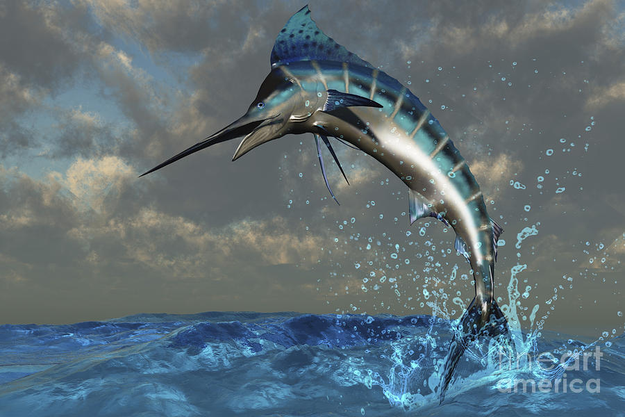 A Blue Marlin Flashes Its Iridescent Digital Art by Corey Ford