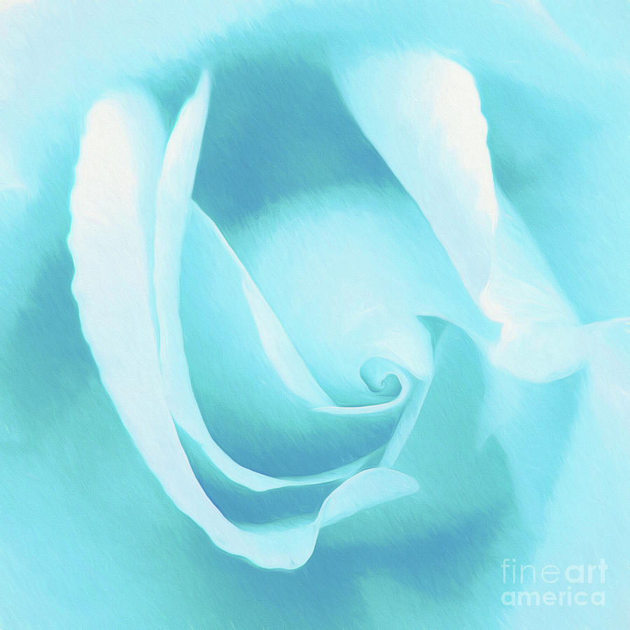 A Blue Rose - Romantic Abstract Art Photograph by Scott Cameron