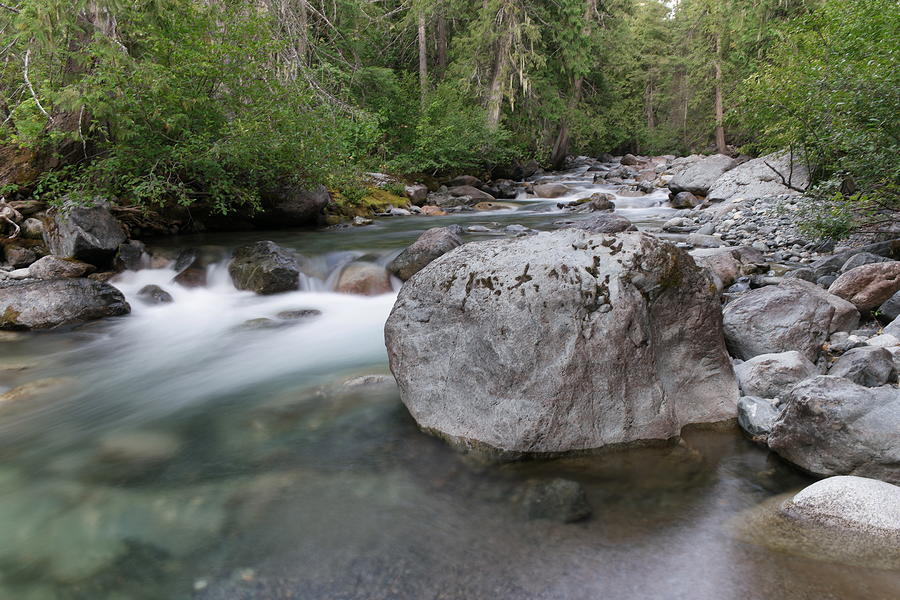 Tree Photograph - A boulder in the river by Jeff Swan