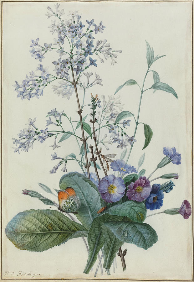 A Bouquet Of Flowers With Insects Painting by Pierre Joseph Redoute
