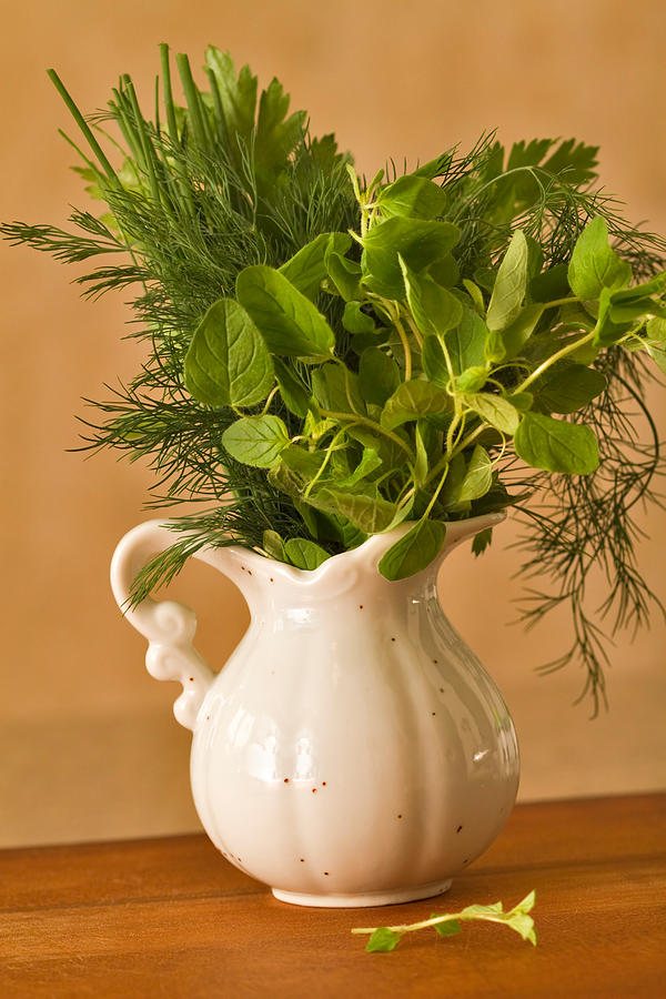 Kitchen Photograph - A Bouquet of Fresh Herbs in a Tiny Jug by Louise Heusinkveld