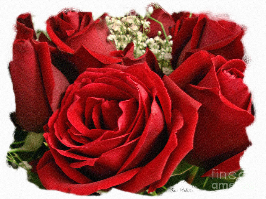 A Bouquet of Red Roses Photograph by Sue Melvin