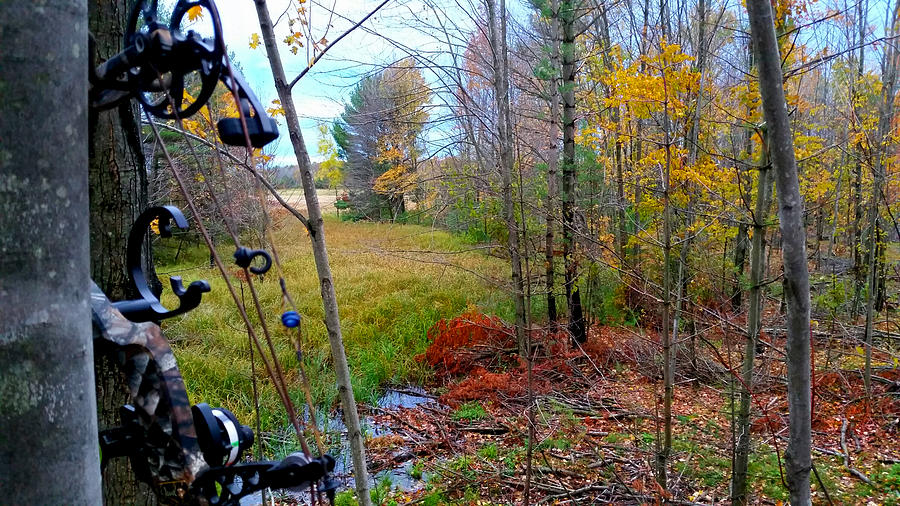 A Bowhunters View Photograph by Brook Burling