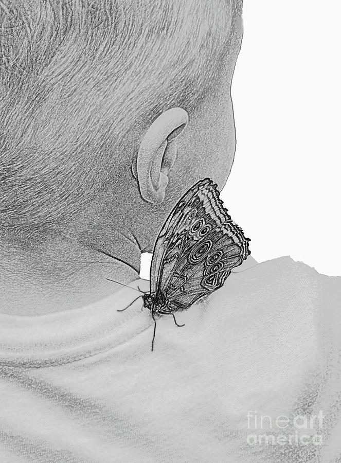 A Boy and a Butterfly Photograph by Cindy Manero