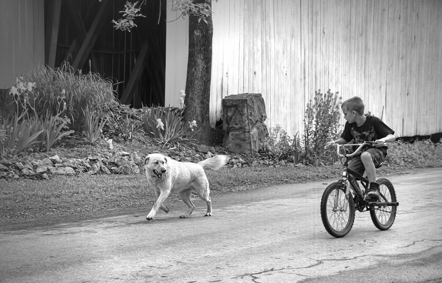 Flower Photograph - A Boy and His Dog BW by Phyllis Taylor