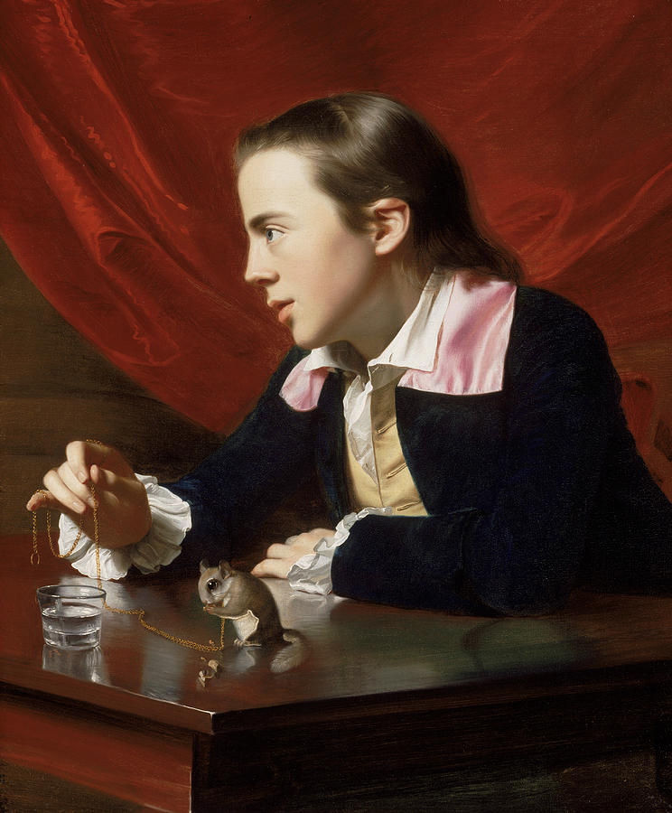 A Boy with a Flying Squirrel  Painting by John Singleton Copley