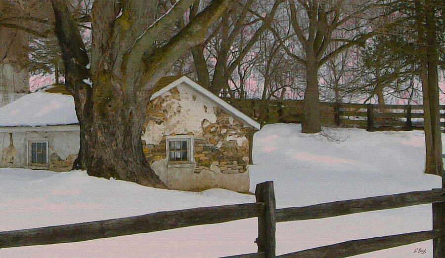 A Brandywine Winter Photograph by Gordon Beck