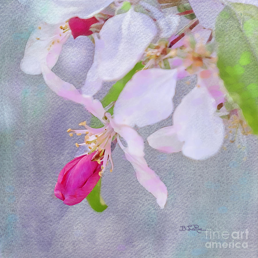 A Breath of Spring Photograph by Betty LaRue