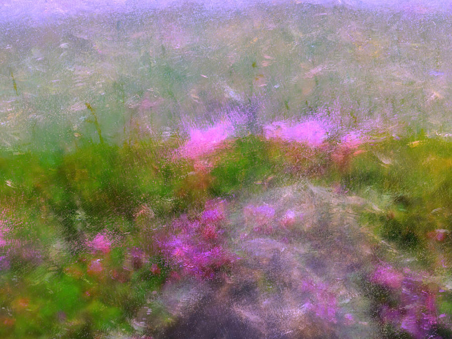 Claude Monet Photograph - A Breeze In Monets Garden by Connie Handscomb