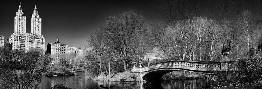 A Bridge Into The Ramble Photograph by Cornelis Verwaal