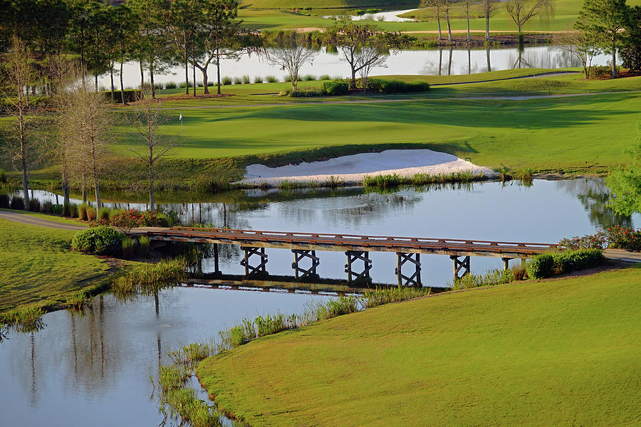 A Bridge On The Golf Course Of The Shingle Creek Golf Club In Orlando Florida Photograph by Rick Rosenshein