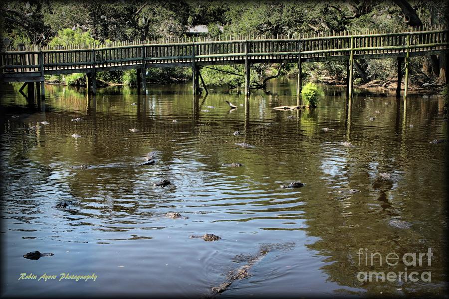 A Bridge Over Troubled Waters Photograph By Robin Ayers Fine Art America 