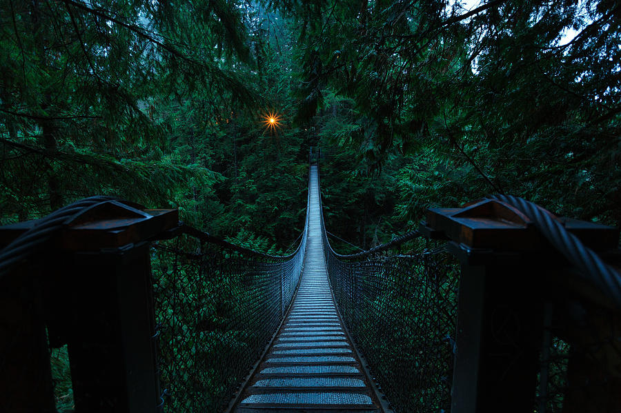 Landscape Photograph - A Bridge To Light by Alan W