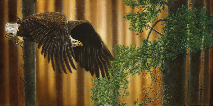 Bald Eagle Painting - A Brighter Future by Wayne Pruse