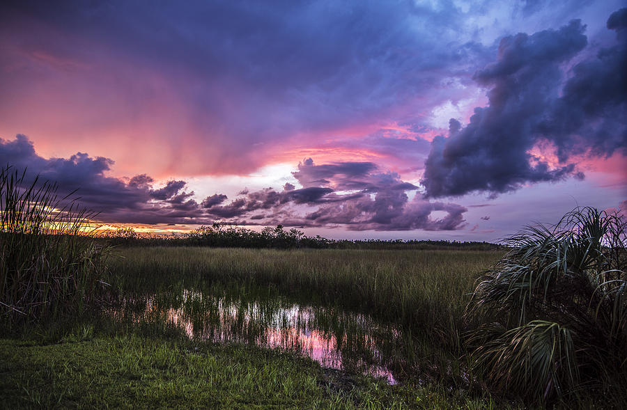 Sunset Photograph - A Brilliant Everglades Sunset by Rachel Cash