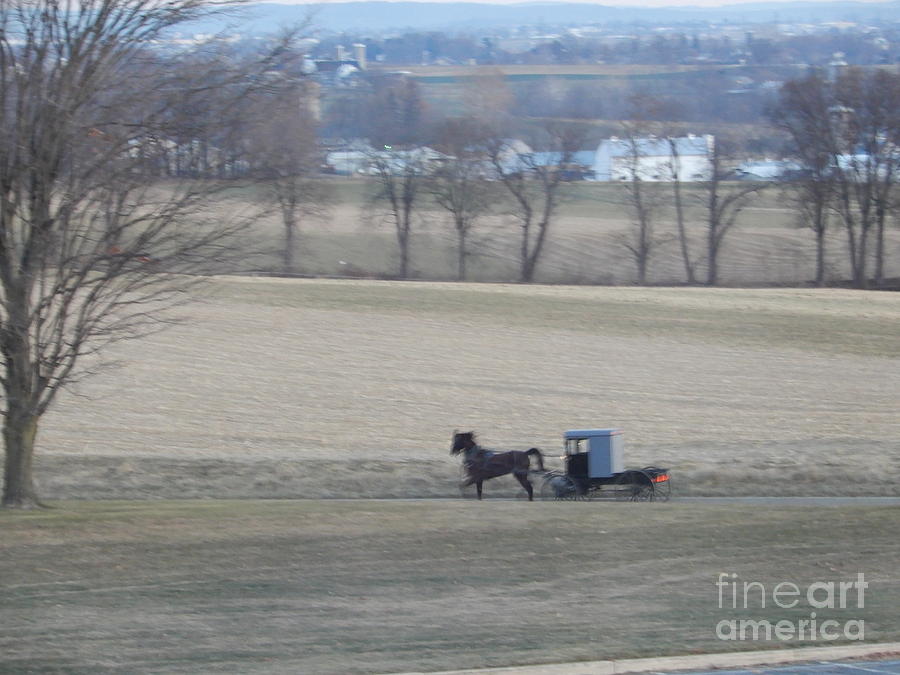 A Brisk Buggy Ride in December Photograph by Christine Clark