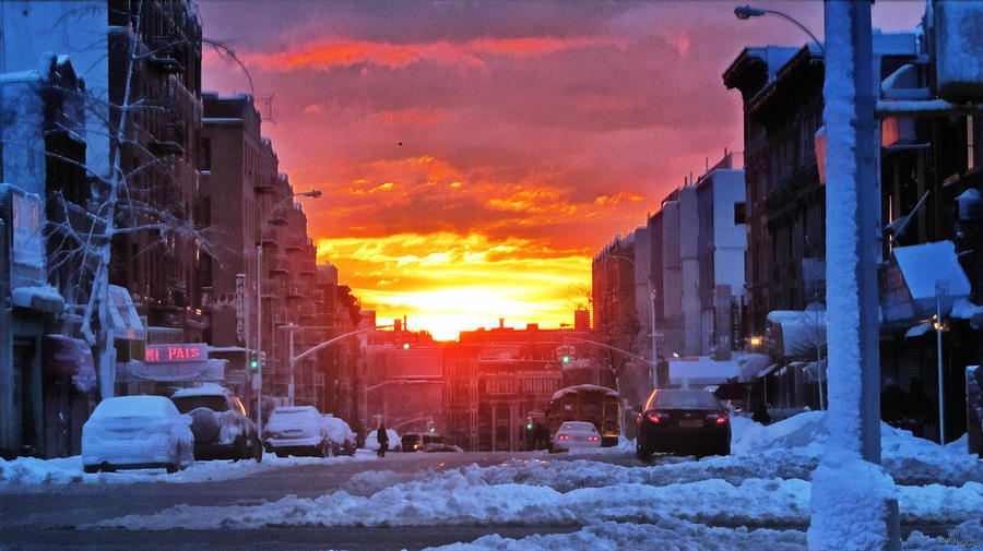 The Bronx - Sunset City 