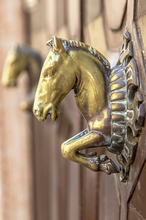 Vintage Photograph - A Bronze Horse Head by W Chris Fooshee