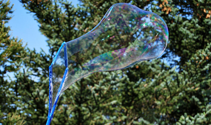 A Bubble Begins Photograph by Marilynne Bull