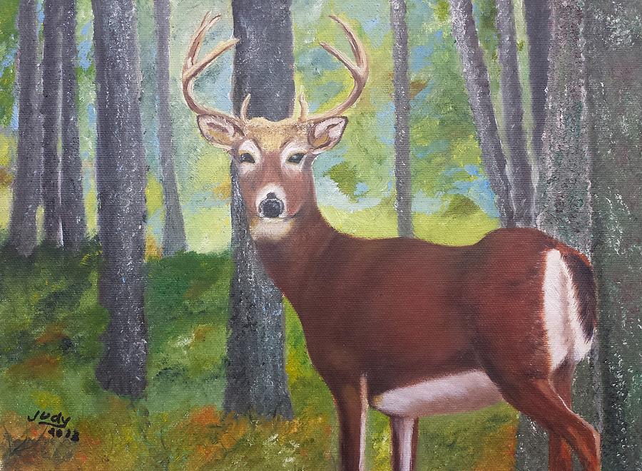 Deer Painting - A Buck in the Woods by Judy Jones