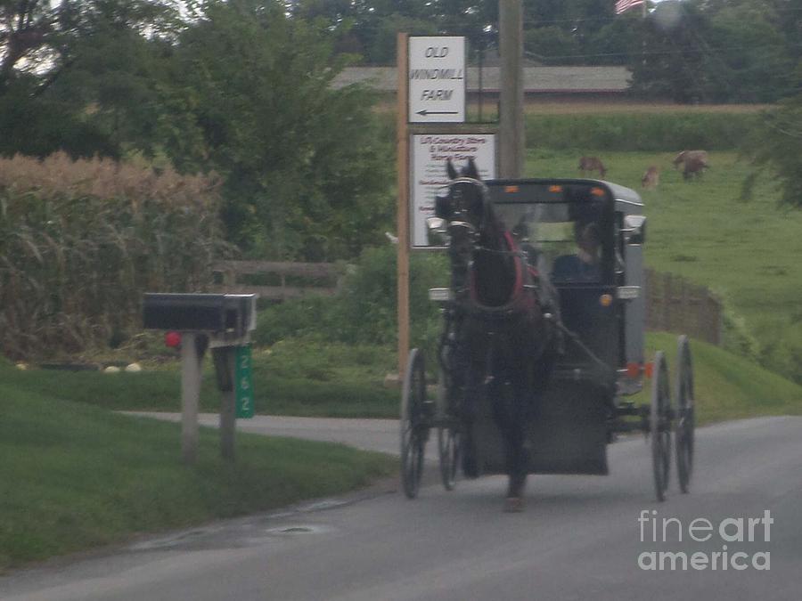 A Buggy Ride on a Cloudy Autumn Day Photograph by Christine Clark