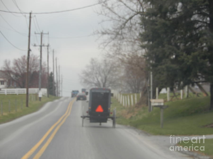 Horse Photograph - A Buggy Travels Down a Road in Spring by Christine Clark