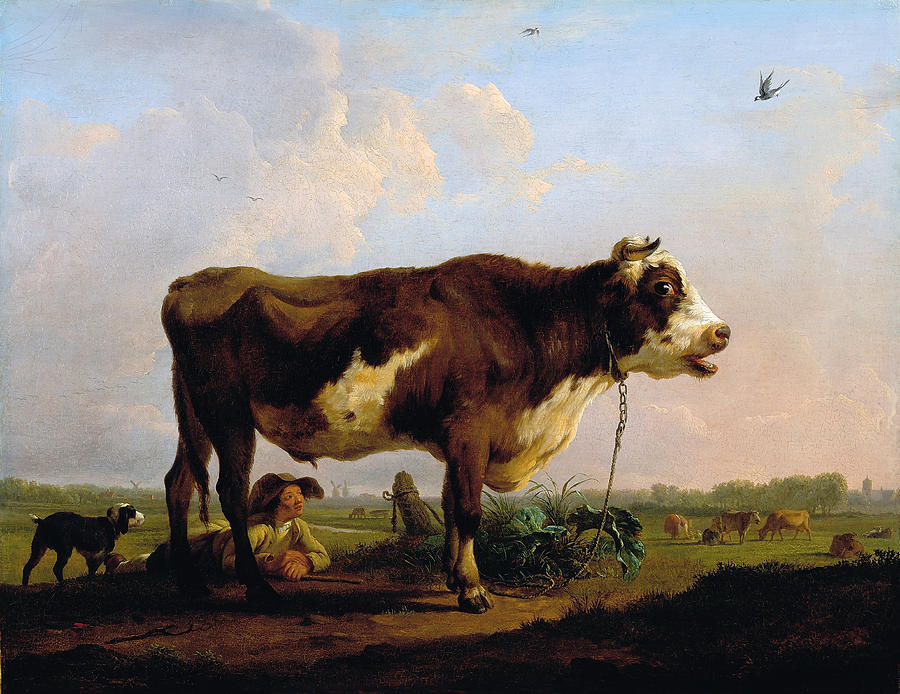 A Bull Painting by Balthasar Paul Ommeganck