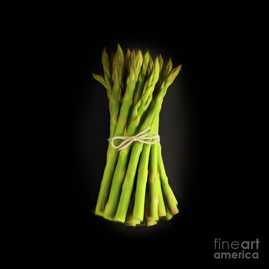 A bunch of fresh Asparagus. Photograph by Phill Thornton