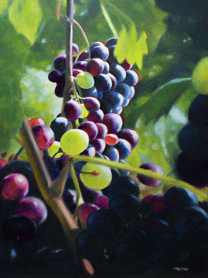 Grape Painting - A Bunch Of Variety by Christopher Reid