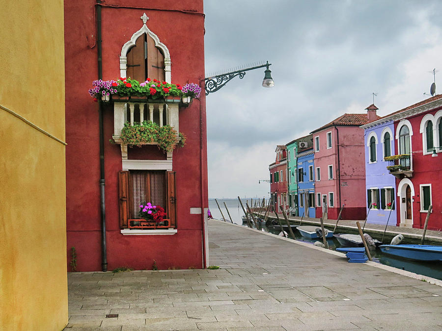 Flower Photograph - A Burano View by Dave Mills