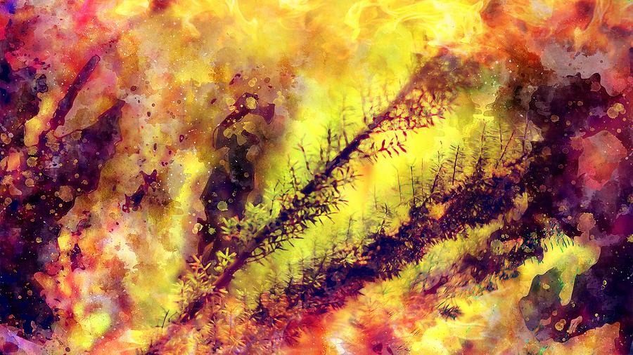 A burning bush Digital Art by Payet Emmanuel