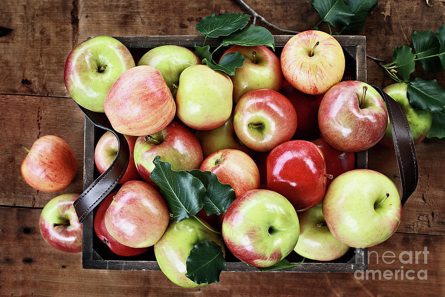A Bushel of Apples  Photograph by Stephanie Frey