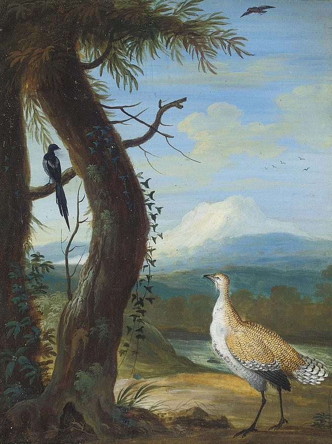 A Bustard and a Magpie in an Exotic Landscape Drawing by Circle of Christoph Ludwig Agricola