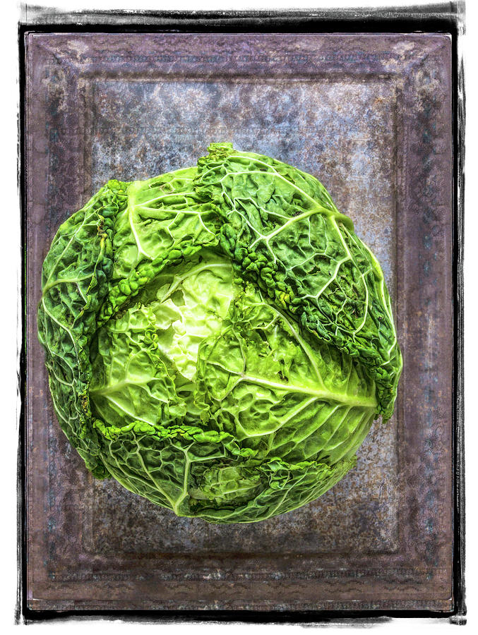A Cabbage Photograph