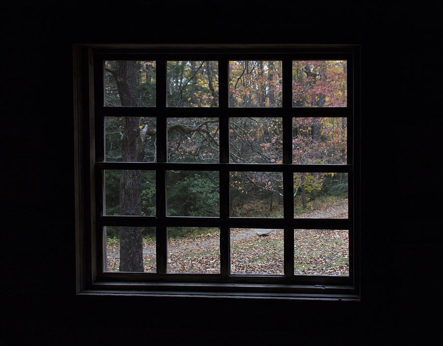 A Cabin View of Fall Photograph by Kathleen Scanlan